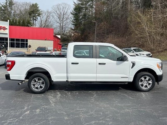 2021 Ford F-150 XL w/ Equipment Group 101A & Trailer Tow Package in Hendersonville, NC - Auto Advantage